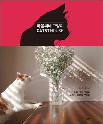 마음씨네 고양이 : 호두 레이 마음씨, 우리는 이렇게 셋이다!
