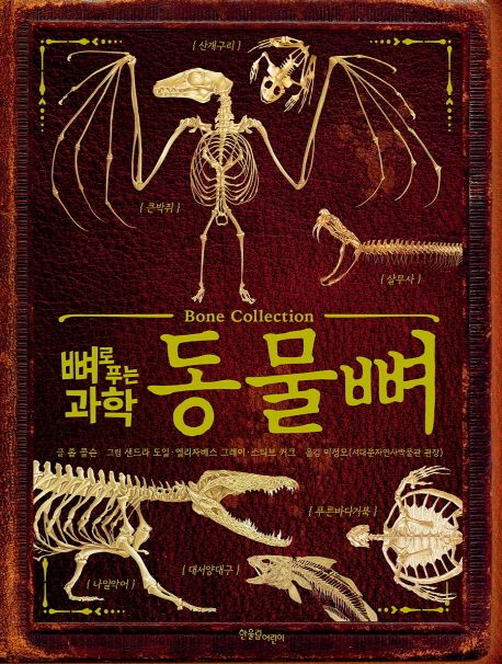 (뼈로 푸는 과학) 동물뼈