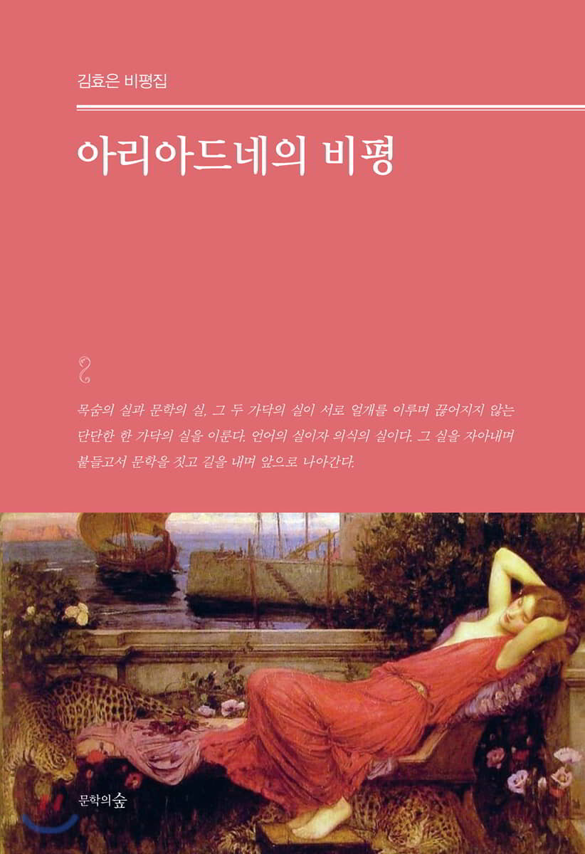 아리아드네의 비평 : 김효은 비평집