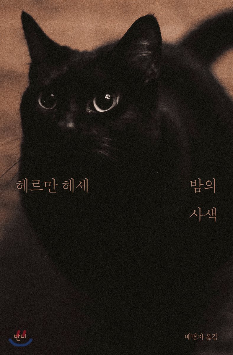 밤의사색 이미지