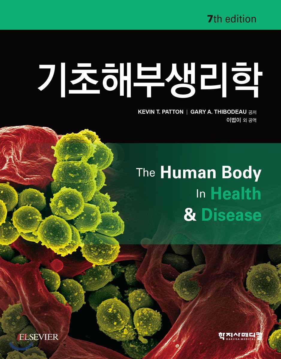 기초해부생리학