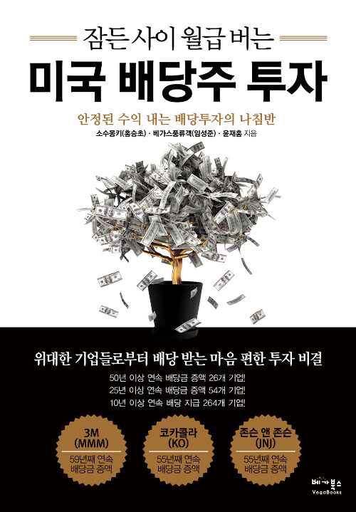 (잠든 사이 월급 버는) 미국 배당주 투자  - [알라딘 전자책]  : 안정된 수익 내는 배당투자의 나침반