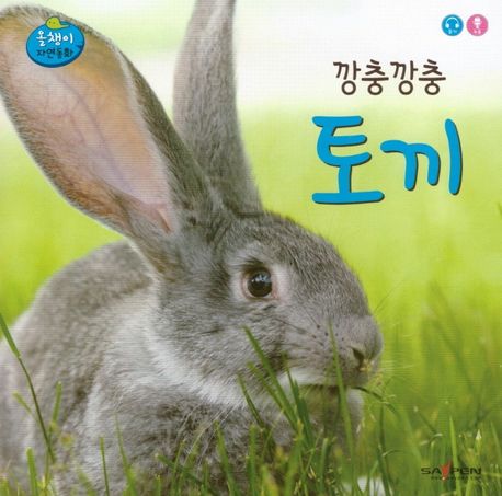 깡충깡충토끼