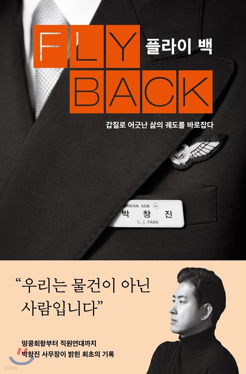 플라이 백 = Fly back