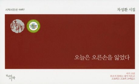 오늘은오른손을잃었다:차성환시집