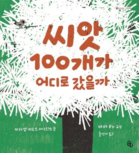 씨앗 100개가 어디로 갔을까 : bigbook