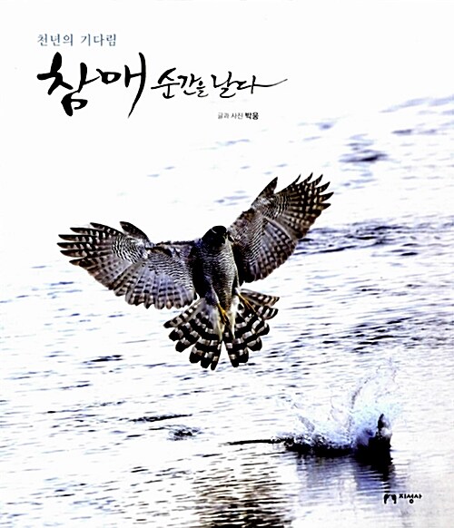 천년의 기다림 참매 순간을 날다 (천년의 기다림) 표지