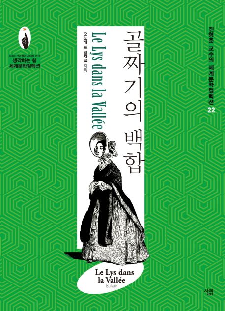 골짜기의 백합[큰글자도서]