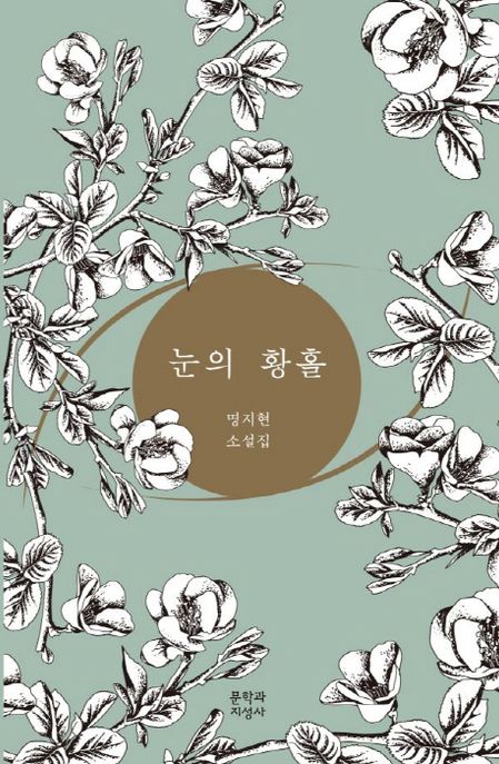 눈의 황홀 : 명지현 소설집
