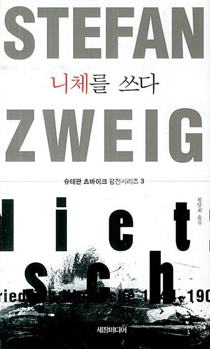 니체를 쓰다 표지