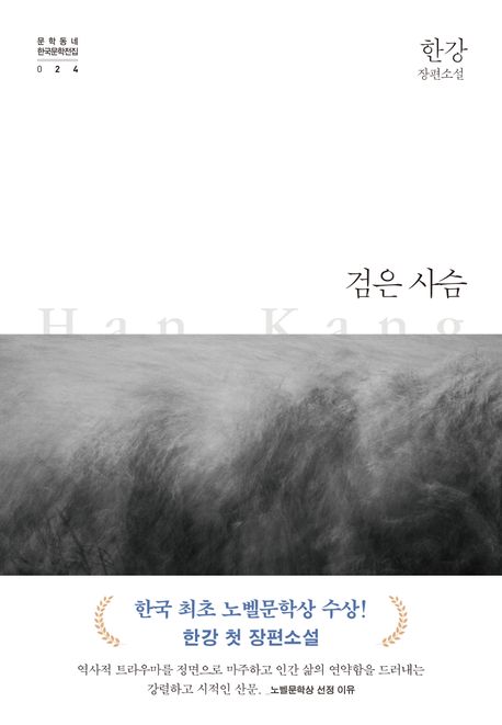 검은 사슴 (한강 소설ᅵ2024년 노벨문학상 수상작가) 표지