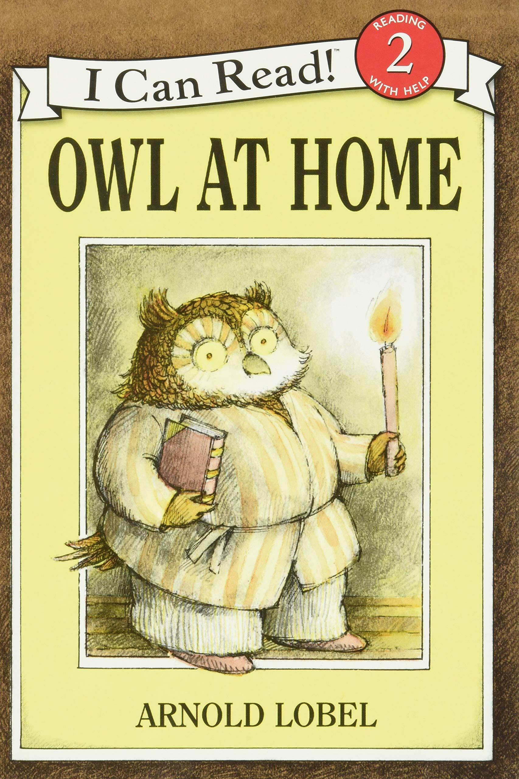 (An) I Can Read Book Level 2. 2-46:, Owl at Home