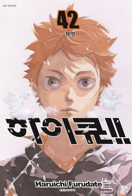 하이큐!! 42 (무엇)