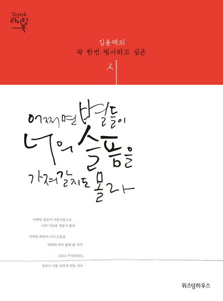 어쩌면 별들이 너의 슬픔을 가져갈지도 몰라 : 김용택의 꼭 한번은 써보고 싶은 시.