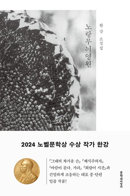 노랑무늬영원 : 한강 소설집 