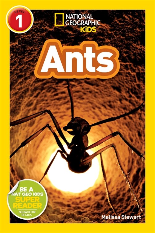 Ants 표지