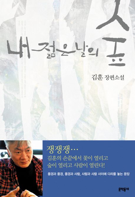 내 젊은 날의 숲 : 김훈 장편소설