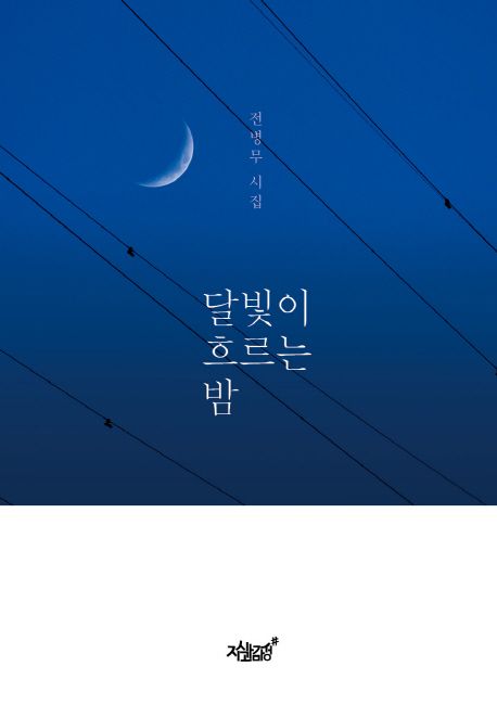 달빛이 흐르는 밤 : 전병무 시집