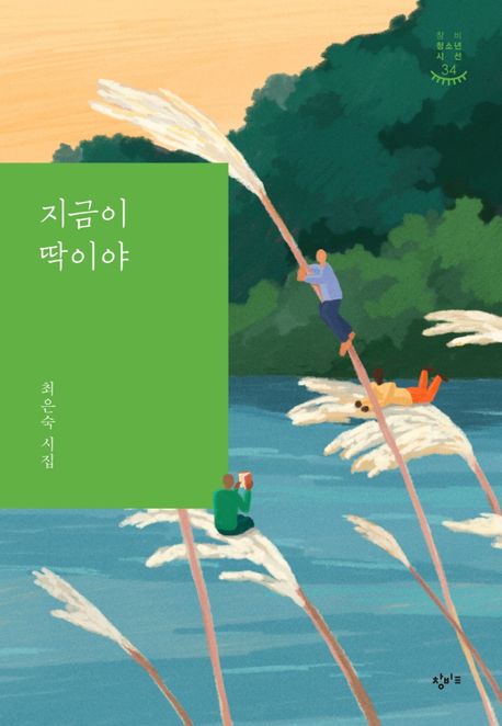 [세종] 지금이 딱이야 : 최은숙 시집