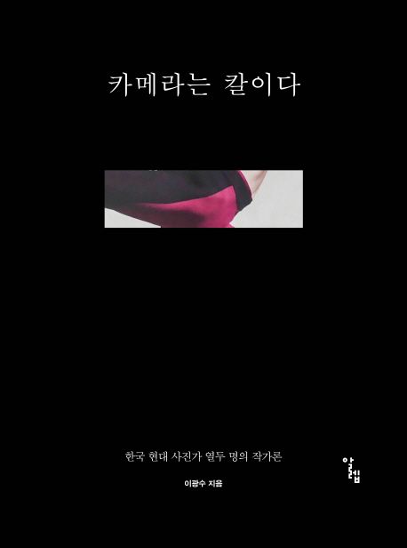 카메라는 칼이다 : 한국 현대 사진가 열두 명의 작가론