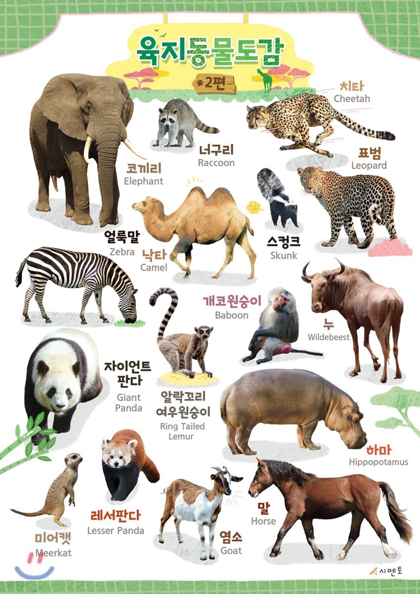 시멘토 학습벽보 학습앱 육지동물도감 2