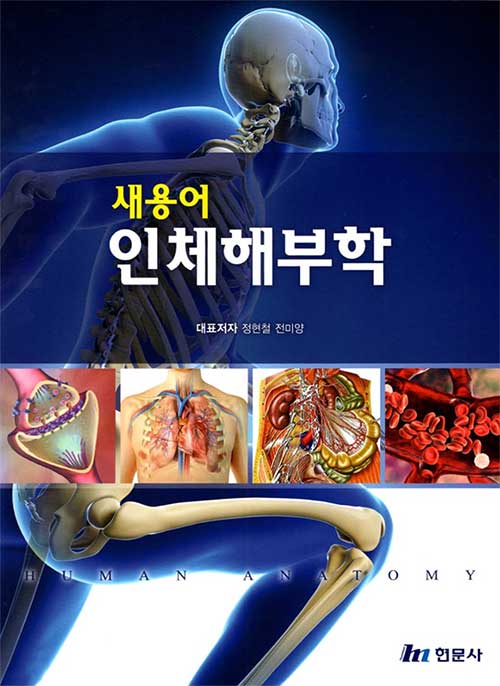 (새용어) 인체해부학