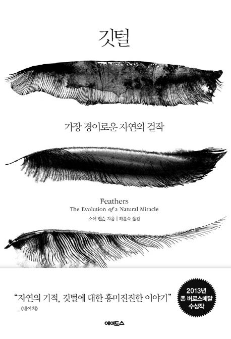 깃털 (가장 경이로운 자연의 걸작) 표지