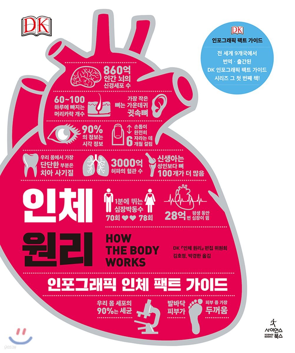 인체 원리 : 인포그래픽 인체 팩트 가이드