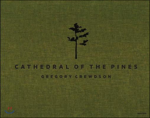 Cathedral of the pines