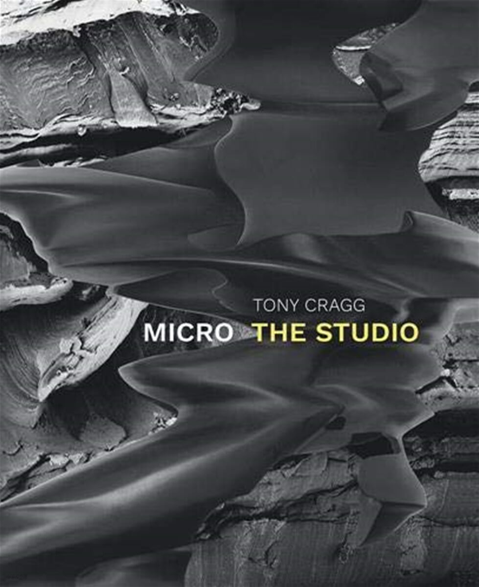 Tony Cragg. Micro - The Studio