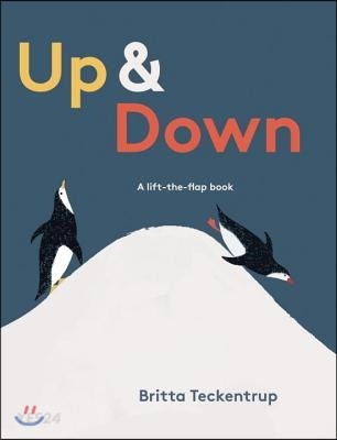 Up & down : (A)lift-the-flap book