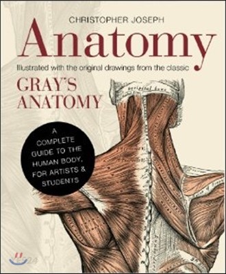 Anatomy (A Complete Guide to the Human Body, for Artists & Students)