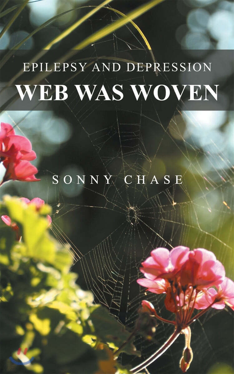 Web Was Woven: Epilepsy and Depression