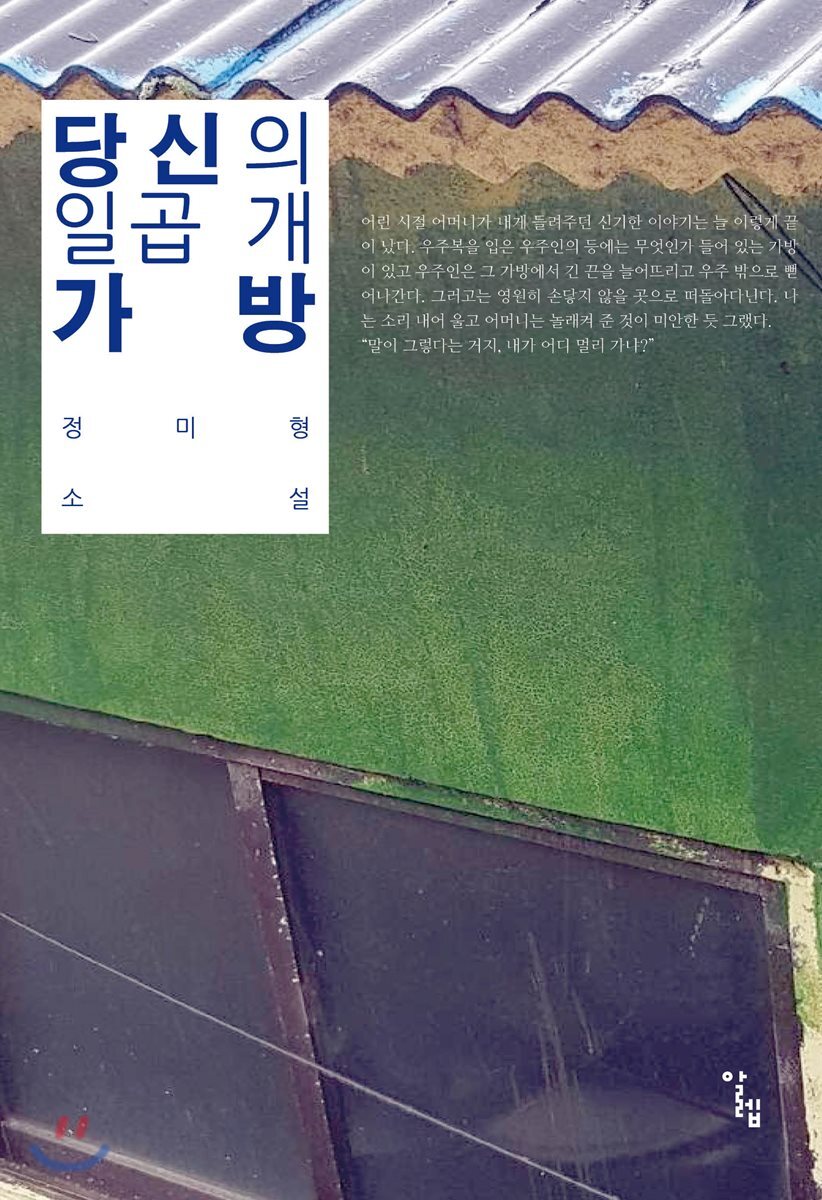 당신의 일곱 개 가방 : 정미형 소설