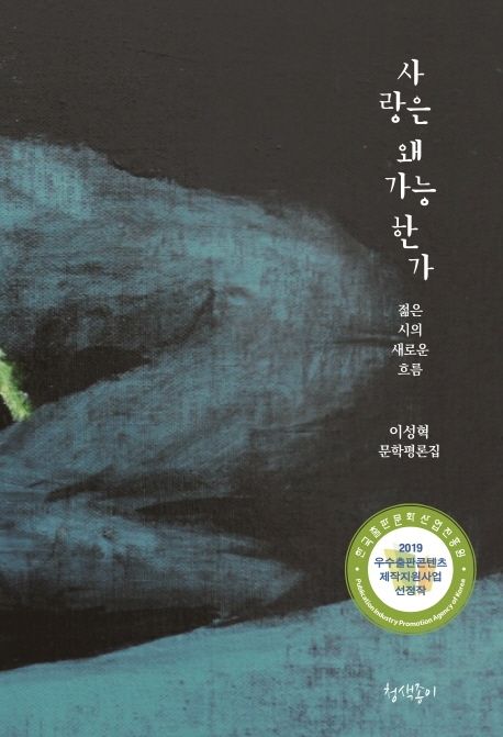 사랑은왜가능한가:이성혁문학평론집