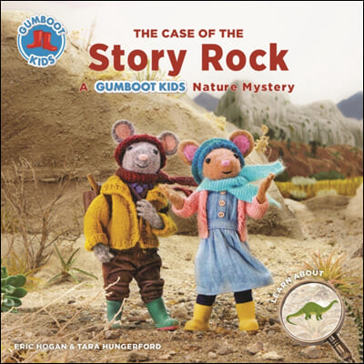 (The) case of the story rock 