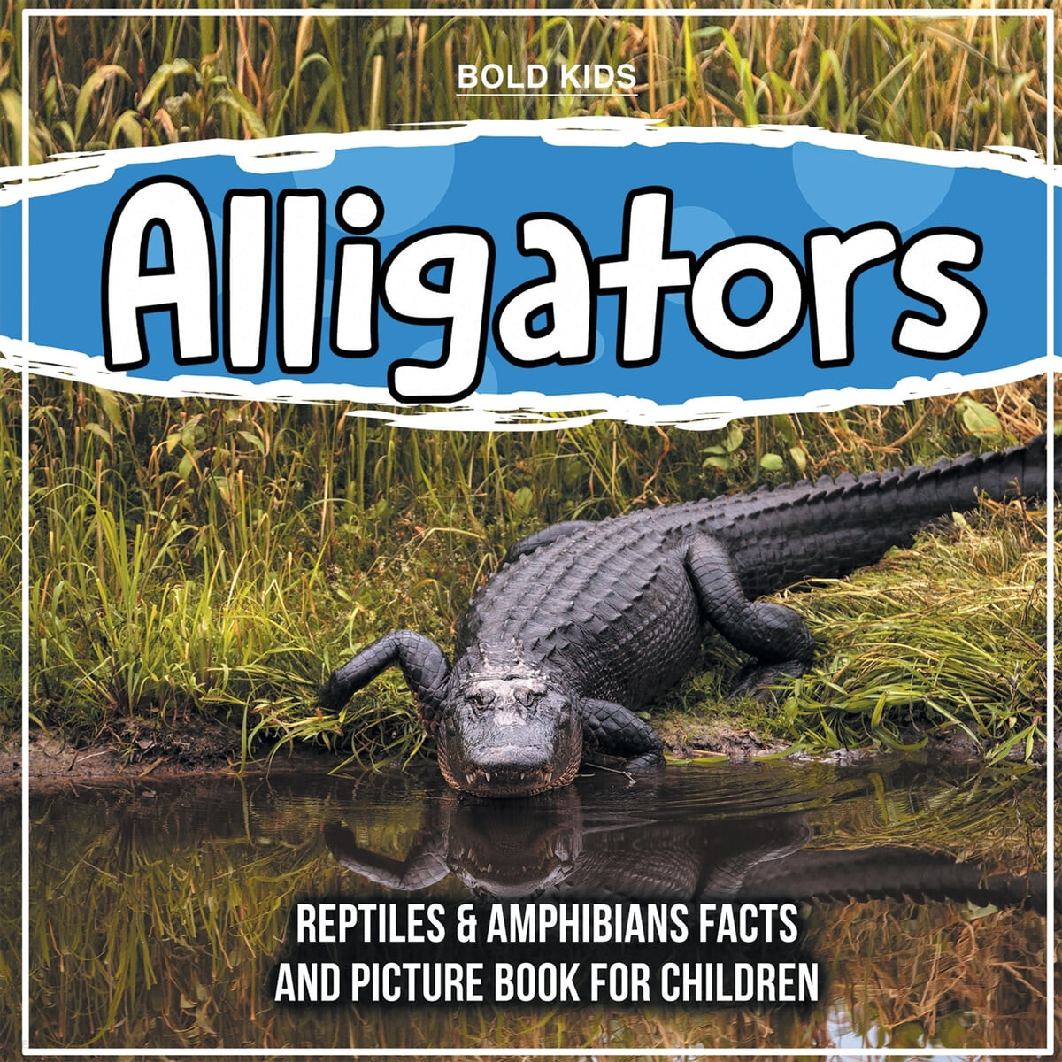 Alligators (Reptiles & Amphibians Facts And Picture Book For Children)