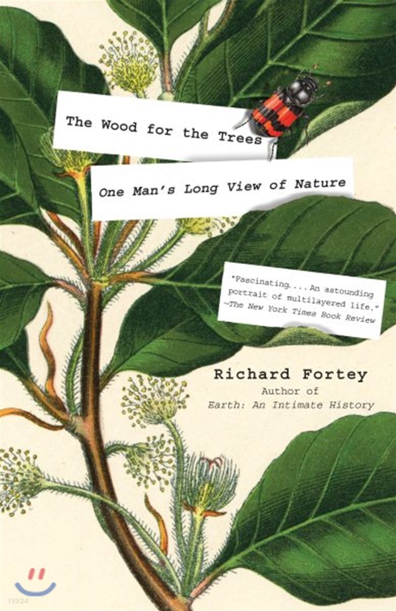 The Wood for the Trees: One Man’s Long View of Nature (One Man’s Long View of Nature)