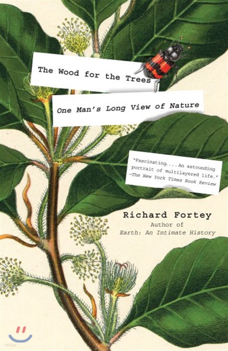 (The) wood for the trees : one man's long view of nature