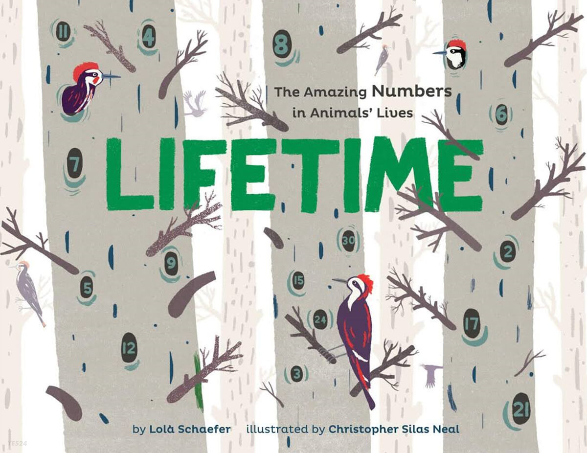 Lifetime : the amazing numbers in animal lives