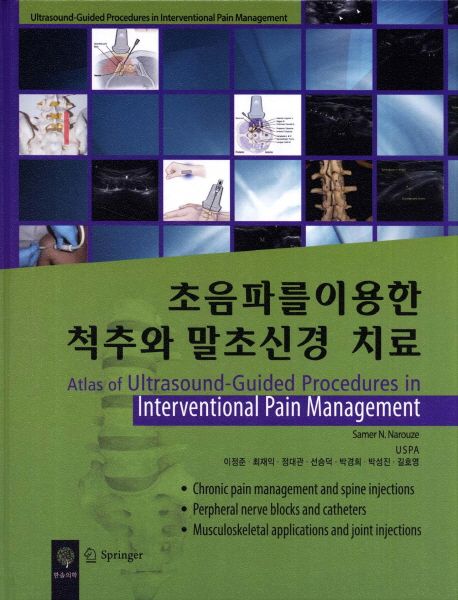초음파를 이용한 척추와 말초신경 치료
