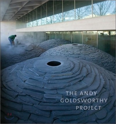 The Andy Goldsworthy project
