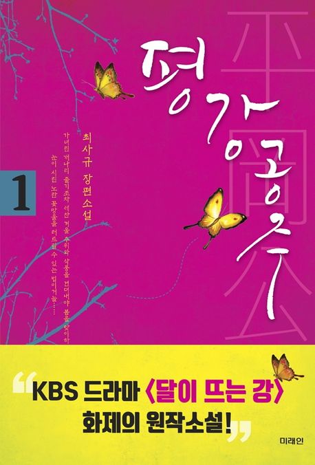 평강공주 : 최사규 장편소설 / 최사규 지음