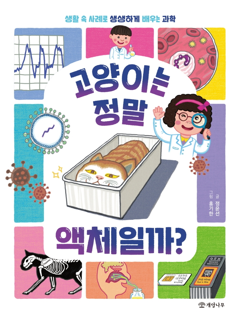 고양이는 정말 액체일까? (생활 속 사례로 생생하게 배우는 과학)