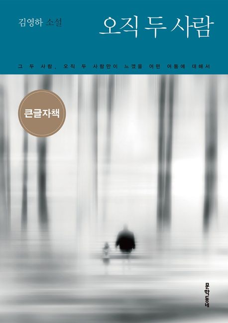 오직 두 사람 [큰글자도서] : 김영하 소설