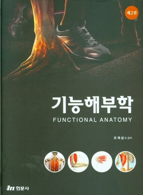 기능해부학
