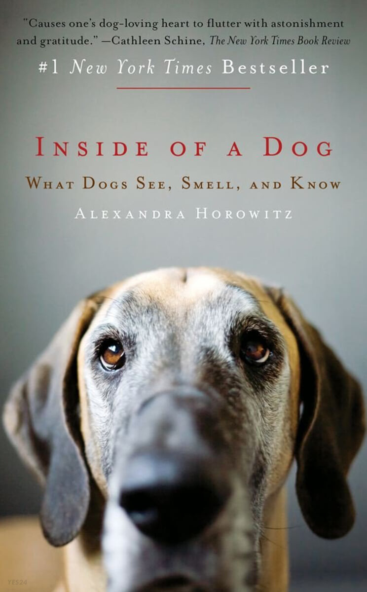 Inside of a Dog: What Dogs See, Smell, and Know (What Dogs See, Smell, and Know)