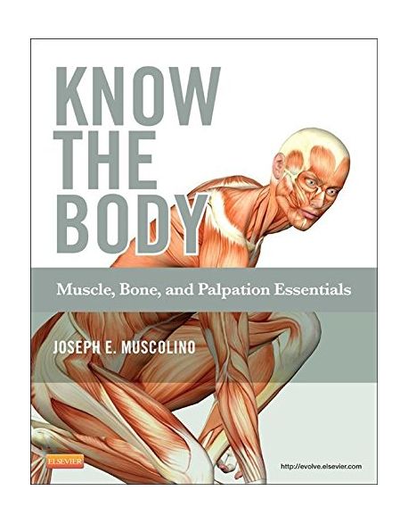 Know the Body: Muscle, Bone, and Palpation Essentials (Muscle, Bone, and Palpation Essentials)