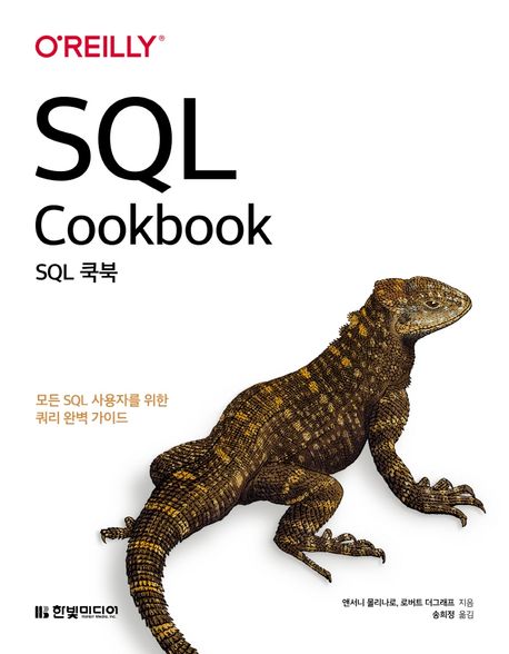 SQL 쿡북 (모든 SQL 사용자를 위한 쿼리 완벽 가이드)