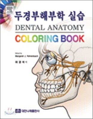 두경부해부학 실습